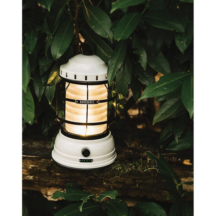 Barebones Living Forest Lantern Vintage White - Knives.mx