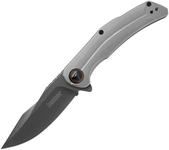 Kershaw Believer Framelock A/O Gray Stainless PVD - Knives.mx