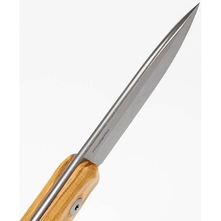 LionSTEEL B41 Bushcraft Olive Wood Sleipner Steel - Knives.mx