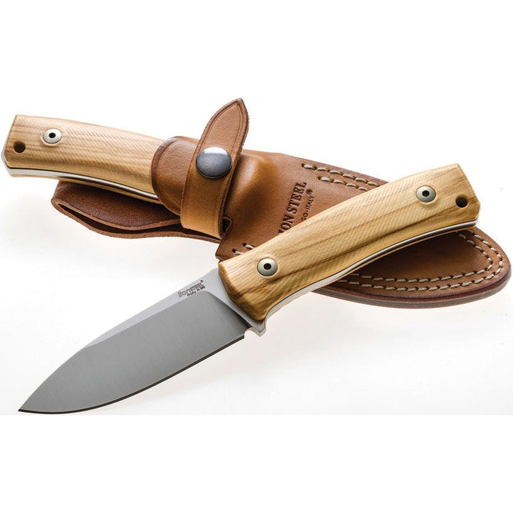 LionSTEEL M4 Fixed Blade Olive Wood Satin M390 - Knives.mx