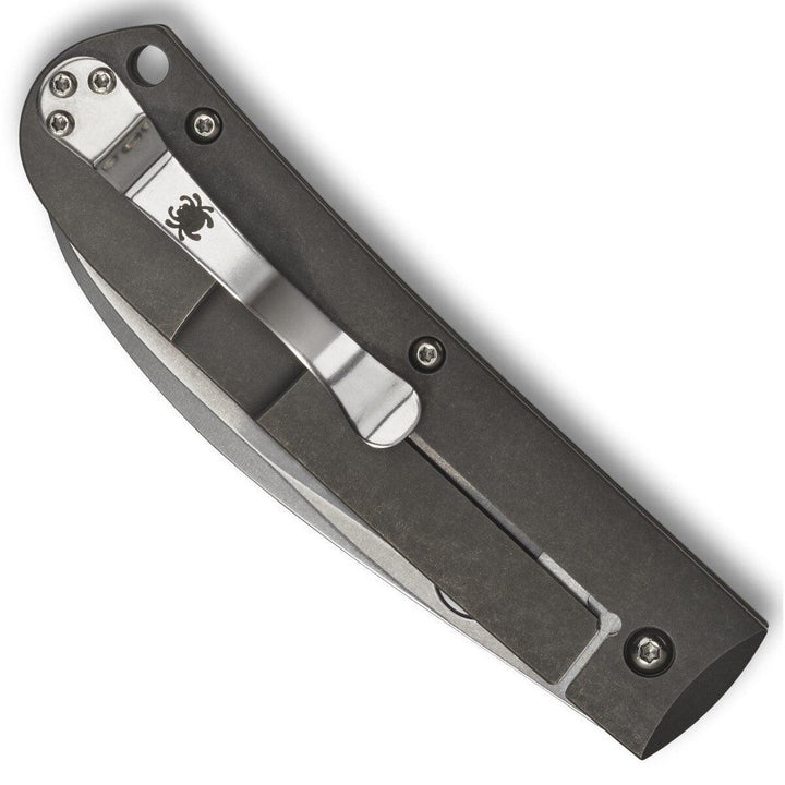 Spyderco Swayback Reeve Titanium SW Wharncliffe CTS-XHP - Knives.mx
